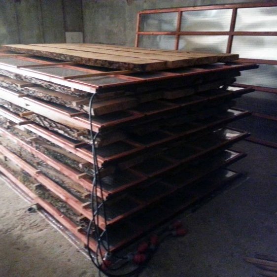 Infrapuna puidukuivati